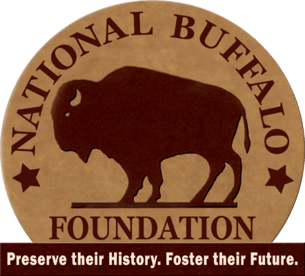 nbf logo no background